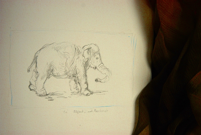 Elefant nach Rembrandt, 10x16 cm